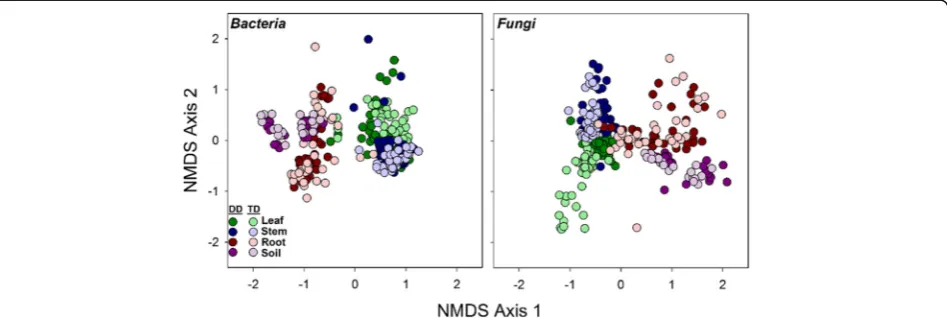Fig. 1 NMDS ordinations of both archaeal/bacterial and fungal communities across the four broad habitat classifications (leaves, stems, roots, soil) andgenotypes (P