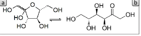 Figure 2 – Fructose cyclic (a) and open (b) forms 