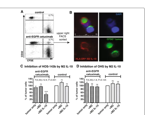 Figure 4 Tumor growth inhibition by activated M1-like macrophages is mediated by soluble factors
