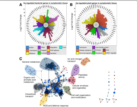 Fig. 2 Metatranscriptomics reveals distinct gene expression profiles between symptomatic and non-symptomatic samples.Genes with closest homology to Arabidopsis, determined to be statistically significantly altered in expression in symptomatic samples compa