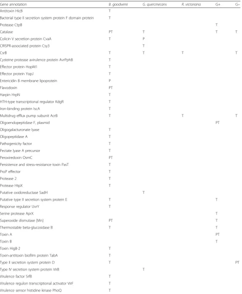 Table 1 List of genes and proteins of interest involved in virulence, bacterial survival and interactions identified in themetaproteome and metatranscriptome of AOD lesions and their corresponding bacterial species/group of origin