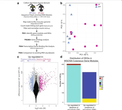 Fig. 1 Gene expression profiles differ between SPF and GF skin. a Dorsal skin collected from GF and SPF mice was subject to polyA-enriched RNAsequencing to identify transcriptional modulation by skin microbial communities