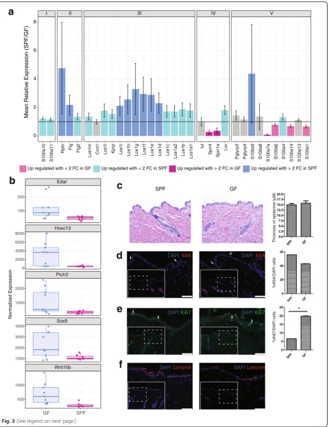 Fig. 3 (See legend on next page.)