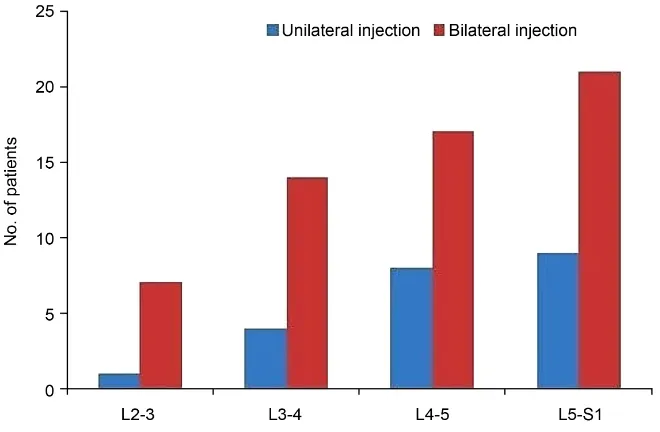 Figure 3. Targeted facet joint levels for injection. 