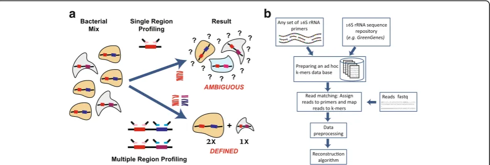 Fig. 1 A schematic description of SMURF. a A comparison between single and multiple region profiling
