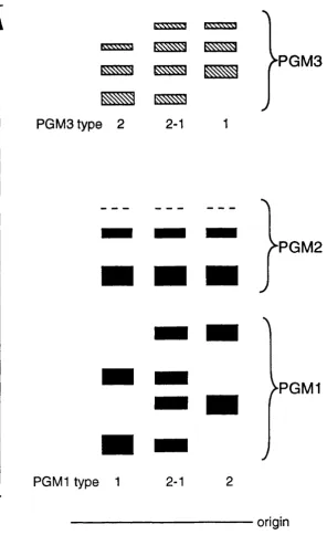 Fig. 1.1