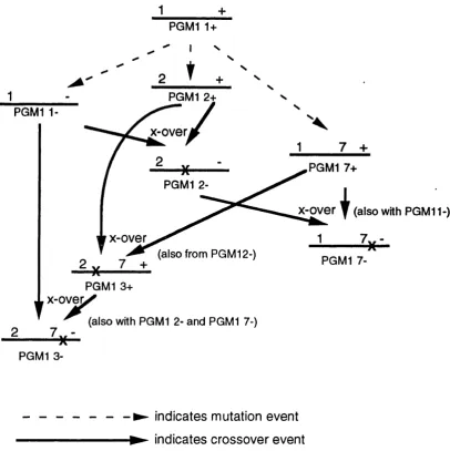 Fig. 1.3