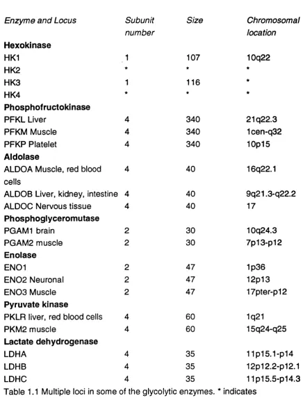 Table 1.1 Multiple loci in some of the glycolytic 