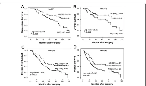 Figure 5 Kaplan–Meier survival curves of in early and late stage patients. (A) and (B) show comparison of DFS and 10-year OS, respectively, inNQO1 (L) and (H) patients of early stage