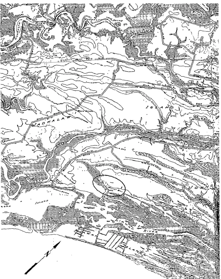 Figure  8.  1929  Sanitary  Commission Map.  I 