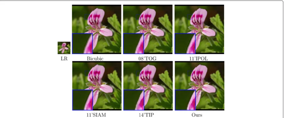 Fig. 3 Visual results of “flower" with the upsampling factor of 4. From top to bottom and from left to right: the low-resolution image “flower,” bicubicresult, “08’TOG” [22], “11’IPOL” [7], “11’SIAM” [8], “14’TIP” [9], and our result