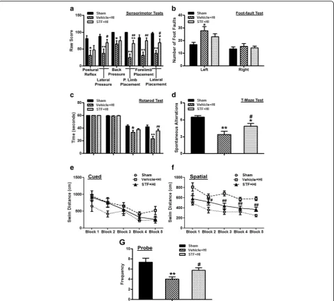 Fig. 4 STF-083010 improved long-term neurobehavioral function at 5 and 6 weeks post HI