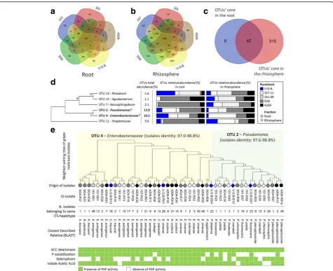 Fig. 4 Grape rootstock shared microbiome and correlation with cultivable bacteria. a, b Venn diagrams showing the common and exclusive bacterialOTUs of the roots and compartments the selected rootstock