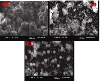 Figure 4. SEM surface morphology of R4, R11 and R15. 