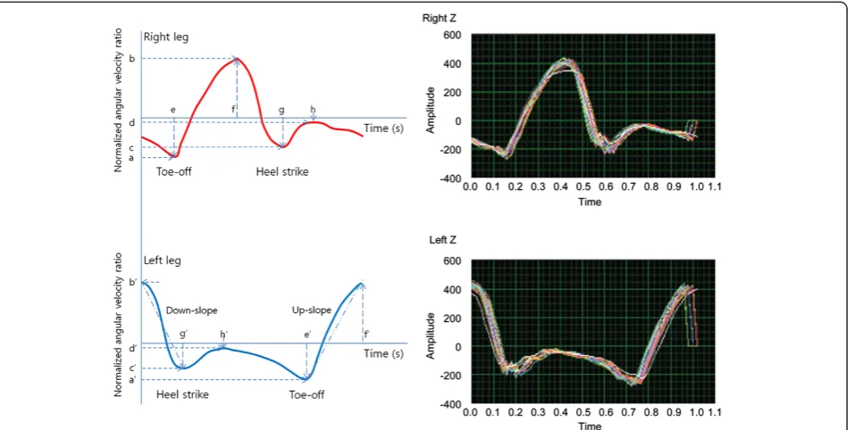 Figure 2 Parameters definition used for gait analysis. Right side pictures were from one normal person, and left side diagram presentparameters for gait pattern analysis