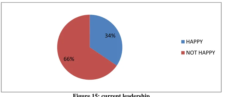 Figure 15: current leadership 