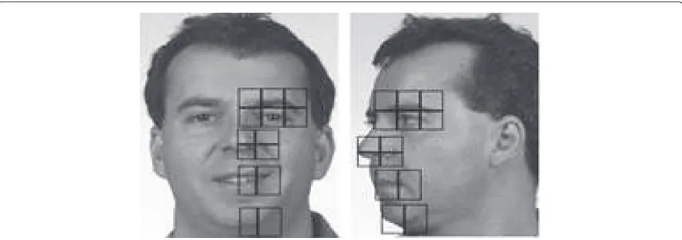 Fig. 1 Main parts of the face considered for the CCA mapping between frontal and left profile