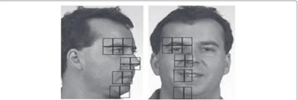 Fig. 2 Main parts of the face considered for the CCA mapping between frontal and right profile