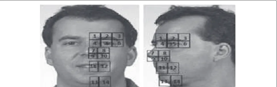 Fig. 9 Main regions of the face selected for the CCA mapping. The figure shows the regions describing the faces to be used for the learning of theCCA-based mapping