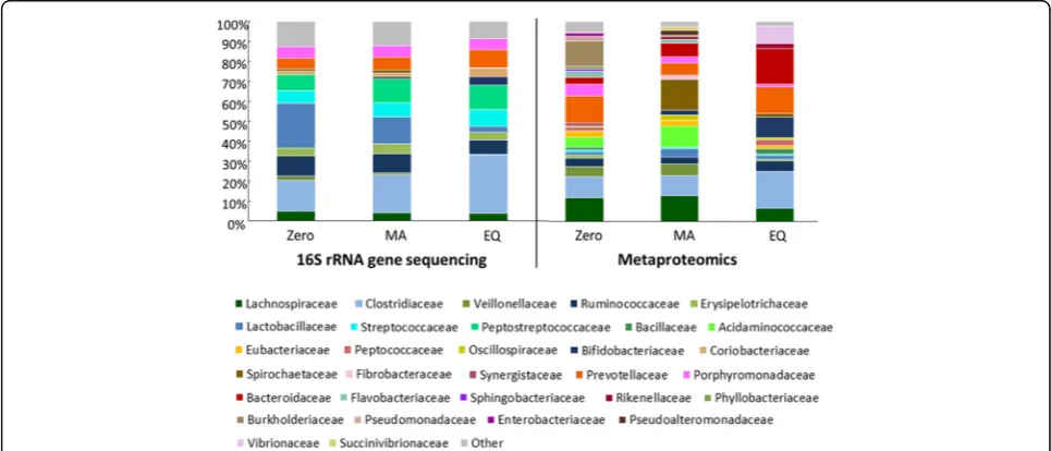 Fig. 2 Gut microbiota composition changes in a time point-dependent manner. Bar chart displays the relative abundance of the bacterial familiesas assessed by 16S rRNA gene sequencing and label-free quantification metaproteomics