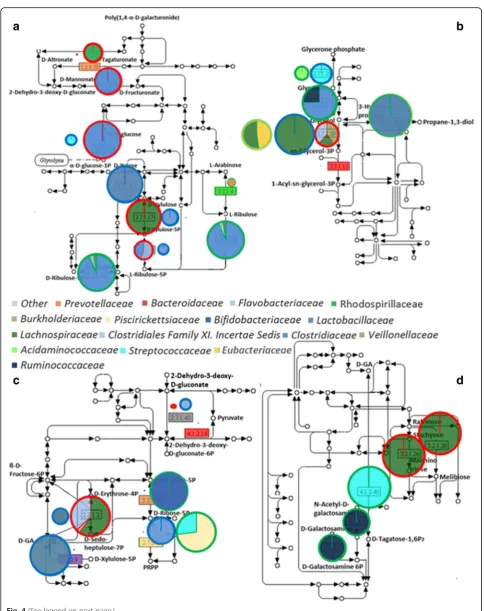 Fig. 4 (See legend on next page.)