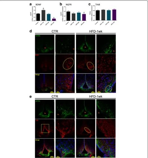 Fig. 7 Hypothalamic expression of proteins of the brain-derived neurotrophic factor system in mice fed a high-fat diet.CTR control fed chow, IGFBP2 insulin-like growth factor-binding protein 2, HFD high-fat diet, NGFR nerve growth factor receptor, wk week