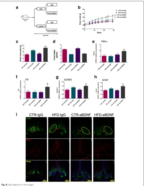 Fig. 8 (See legend on next page.)