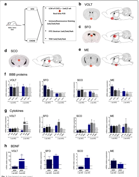 Fig. 1 (See legend on next page.)