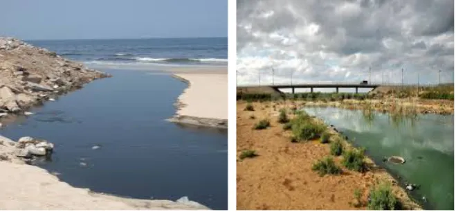 Figure 2. Wadi Gaza snapshots. 