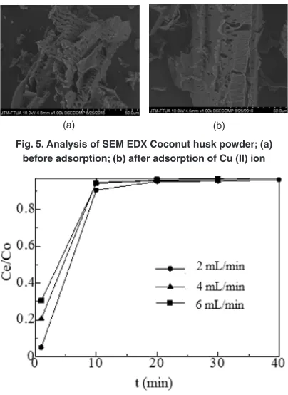 Fig. 5. Analysis of SEM EDX Coconut husk powder; (a) 