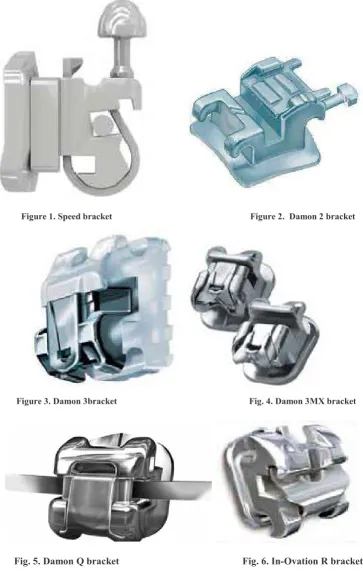 Figure 2.  Damon 2 bracket 