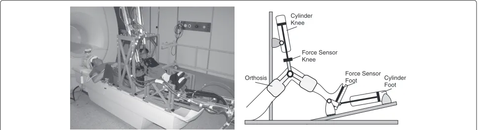 Figure 1 The fMRI compatible robotic stepping actuator MARCOS. Left: MARCOS in the 1.5T MR scanner