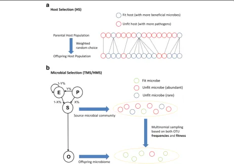 Fig. 1 Host reproduction and microbial community assembly under models of selection.respectively