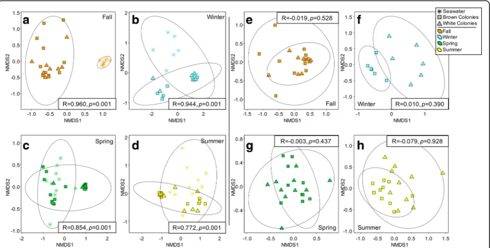 Fig. 5 NMDS visualizations of beta diversity analysis using the Bray–Curtis metric separating samples by collection season