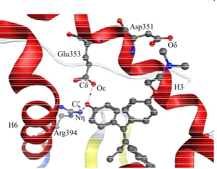 Figure 1. Hydrogen bonds between OHT and ER(3ERT).α LBD   