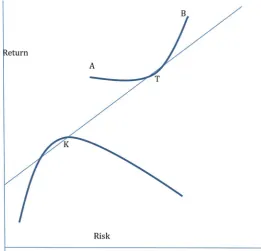 Figure 7. Optimal price of a large capitalization mutual fund.  