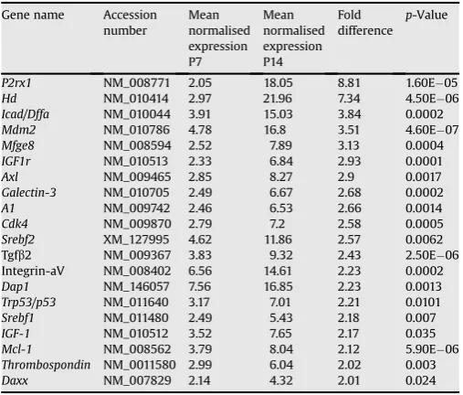 Fig. 2. Semi-quantitative PCR results for differentially expressed genes identiﬁed usingconﬁrmed as up-regulated between p7 and p14 are labeled with an asterisk