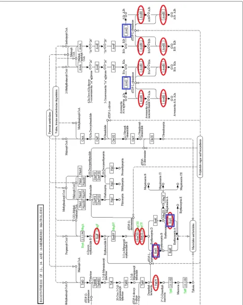Fig. 2 Biosynthesis of 12-, 14- and 16-membered macrolides. Reactions in red ellipses are those appearing in herbivores’ features