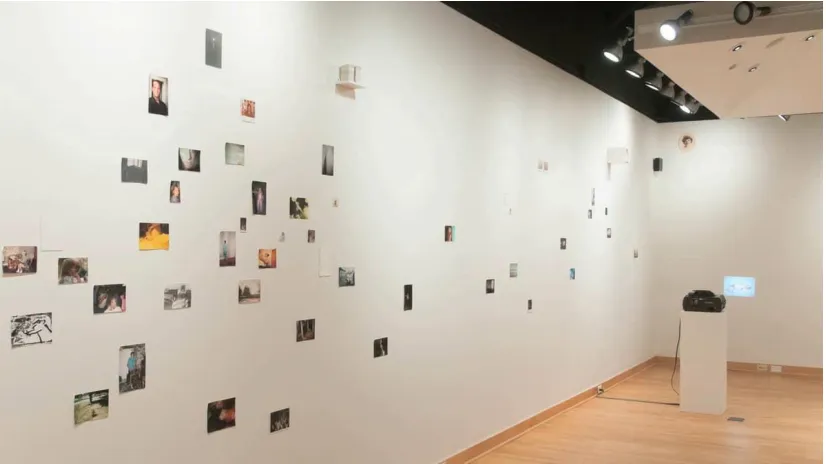 Figure 3.4 Jason Lazarus, Too Hard To Keep (Syracuse), 2013  