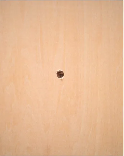 Figure 3.10 Ben Lee, Detail of Up For Air, 2017            