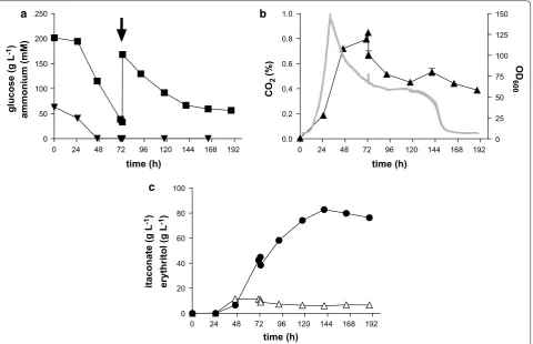 Fig. 4■c itaconate (●() concentration;  b  CO concentration (continuous line) and  ODU