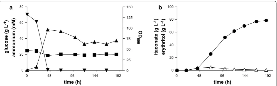 Fig. 5  NH4 NBRC 9727 ∆fuz7r() concentration and  OD600 (); and b itaconate (ria1) and erythritol (∆) concentration during a single representative bioreactor cultivation in batch medium with constant glucose concentration, 4.0 g  L−1■▼ Controlled high dens