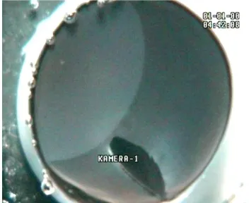 Figure 1. The photo shows the experimental preparation with a solitary and circular RSD wave spreading from the peripheral retina toward the centre