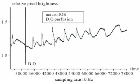 Figure 3. Long time series showing the photomultiplier output (10 Hz sampling rate) during the recording of a deuterium solution experiment