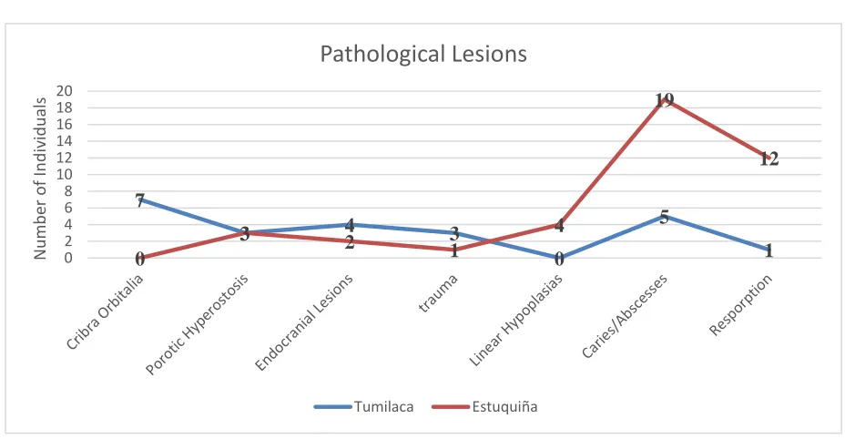 Figure 10 Pathological Lesions 