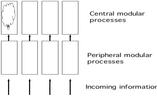 Fig. 1: Theoretical Schema of Massive Modularity 