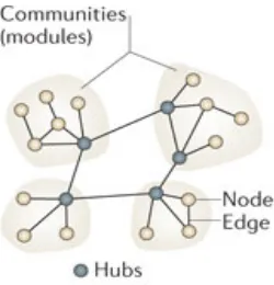 Fig. 3: Exogenous Pressures Select for Domain-Specific Sub-Systems 