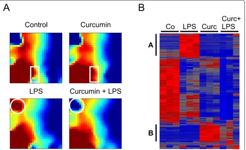 Figure 1 Curcumin influences global gene expression in resting and LPS-activated BV-2 microglial cellsor 20corresponding gene clusters