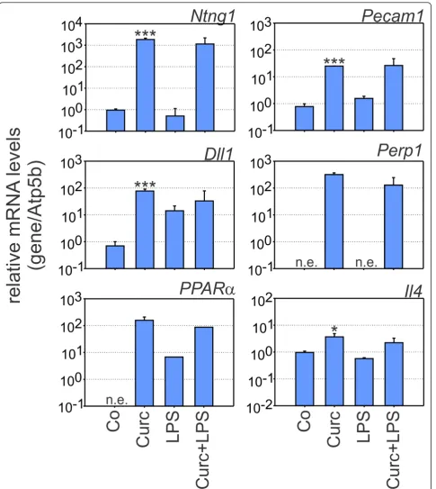 Figure 2 Curcumin induces genes related to adhesion and anti-inflammatory responsereticulum protein 1 (gene Atp5b and mRNA levels (+/- SD) are graphed relative to control cells