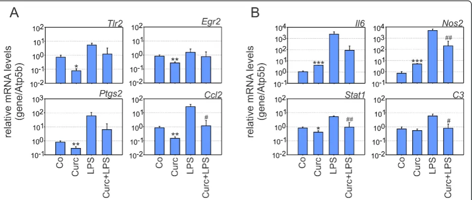 Figure 3 Curcumin potently blocks pro-inflammatory gene expressionToll-like receptor 2 (